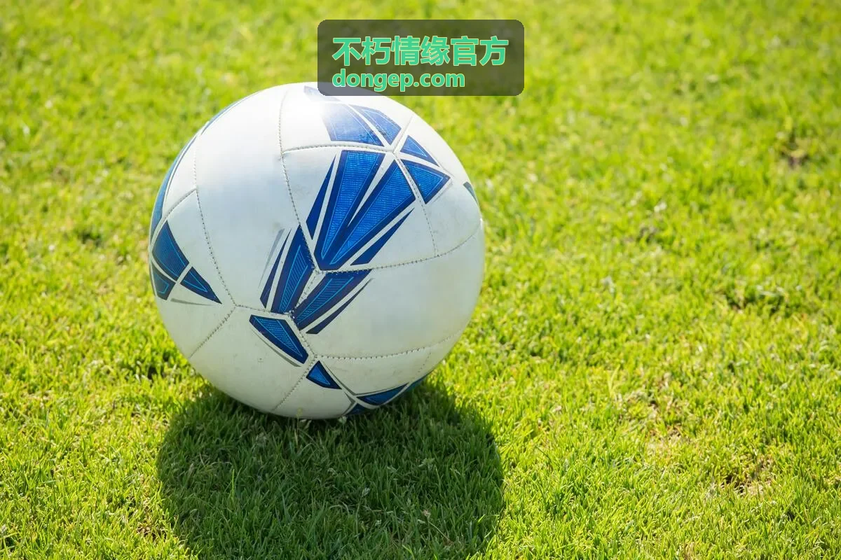 不朽情缘官方使用流程演示界面